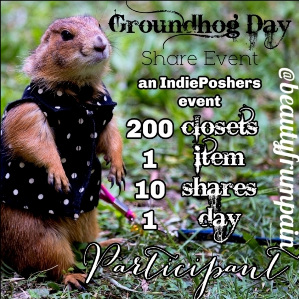 Groundhog Day Fun!